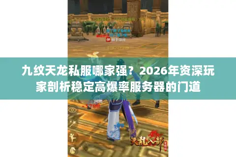 九纹天龙私服哪家强?2026年资深玩家剖析稳定高爆率服务器的门道 九纹天龙私服哪家强?2026年资深玩家剖析稳定高爆率服务器的门道