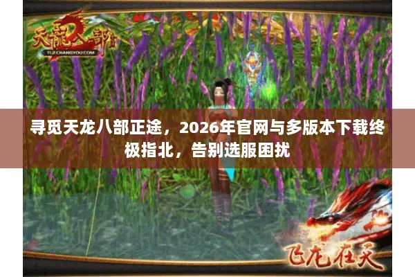 寻觅天龙八部正途，2026年官网与多版本下载终极指北，告别选服困扰