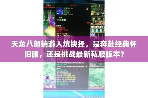 天龙八部端游入坑抉择,是奔赴经典怀旧服,还是挑战最新私服版本? 天龙八部端游入坑抉择,是奔赴经典怀旧服,还是挑战最新私服版本?