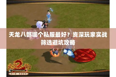 天龙八部哪个私服最好?资深玩家实战筛选避坑攻略 天龙八部哪个私服最好?资深玩家实战筛选避坑攻略