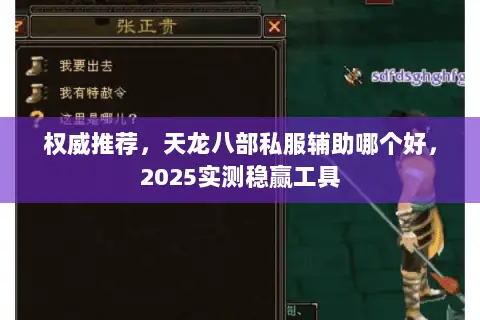 权威推荐,天龙八部私服辅助哪个好,2025实测稳赢工具 权威推荐,天龙八部私服辅助哪个好,2025实测稳赢工具
