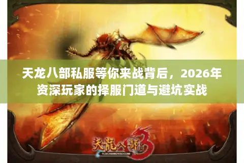 天龙八部私服等你来战背后,2026年资深玩家的择服门道与避坑实战 天龙八部私服等你来战背后,2026年资深玩家的择服门道与避坑实战