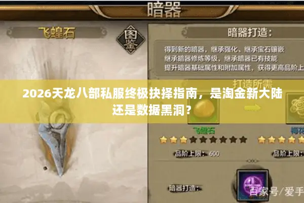 2026天龙八部私服终极抉择指南,是淘金新大陆还是数据黑洞? 2026天龙八部私服终极抉择指南,是淘金新大陆还是数据黑洞?