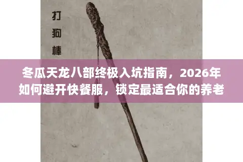 冬瓜天龙八部终极入坑指南,2026年如何避开快餐服,锁定最适合你的养老胜地? 冬瓜天龙八部终极入坑指南,2026年如何避开快餐服,锁定最适合你的养老胜地?