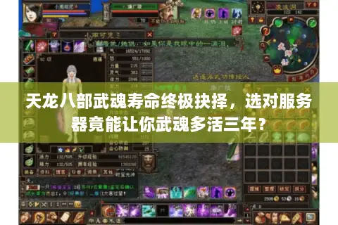天龙八部武魂寿命终极抉择,选对服务器竟能让你武魂多活三年? 天龙八部武魂寿命终极抉择,选对服务器竟能让你武魂多活三年?