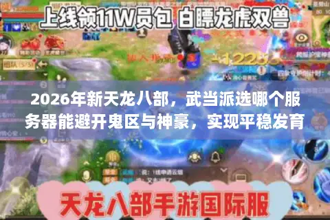 2026年新天龙八部,武当派选哪个服务器能避开鬼区与神豪,实现平稳发育? 2026年新天龙八部,武当派选哪个服务器能避开鬼区与神豪,实现平稳发育?