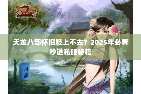 天龙八部怀旧服上不去？2025年必看秒进私服秘籍