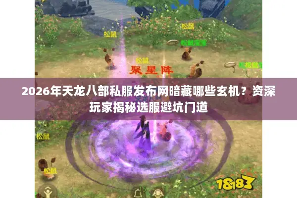 2026年天龙八部私服发布网暗藏哪些玄机?资深玩家揭秘选服避坑门道 2026年天龙八部私服发布网暗藏哪些玄机?资深玩家揭秘选服避坑门道