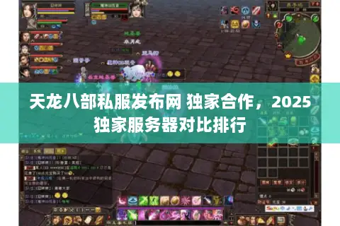天龙八部私服发布网 独家合作,2025独家服务器对比排行 天龙八部私服发布网 独家合作,2025独家服务器对比排行