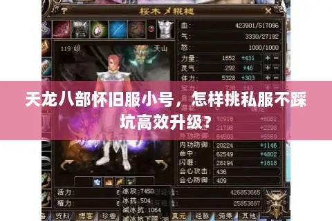 天龙八部怀旧服小号，怎样挑私服不踩坑高效升级？