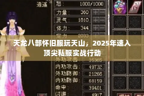天龙八部怀旧服玩天山，2025年速入顶尖私服实战行动