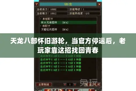 天龙八部怀旧游轮,当官方停运后,老玩家靠这招找回青春 天龙八部怀旧游轮,当官方停运后,老玩家靠这招找回青春