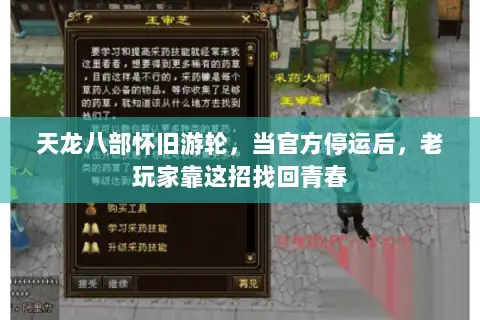 天龙八部怀旧游轮,当官方停运后,老玩家靠这招找回青春 天龙八部怀旧游轮,当官方停运后,老玩家靠这招找回青春