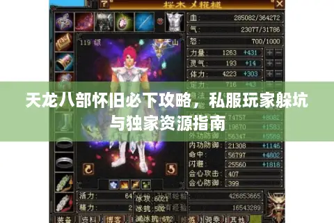 天龙八部怀旧必下攻略，私服玩家躲坑与独家资源指南