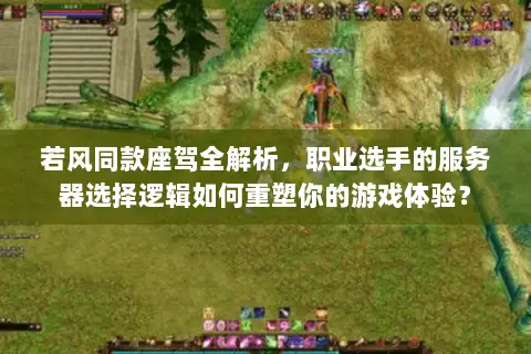 若风同款座驾全解析,职业选手的服务器选择逻辑如何重塑你的游戏体验? 若风同款座驾全解析,职业选手的服务器选择逻辑如何重塑你的游戏体验?