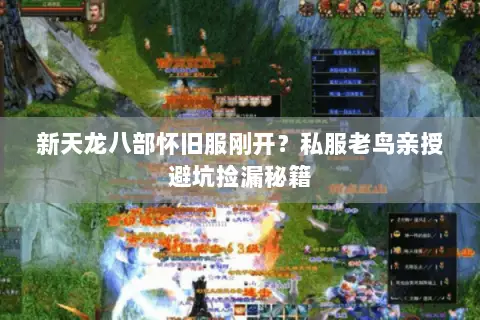新天龙八部怀旧服刚开？私服老鸟亲授避坑捡漏秘籍