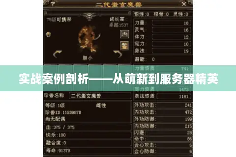 实战案例剖析——从萌新到服务器精英 实战案例剖析——从萌新到服务器精英