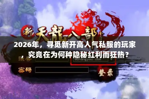 2026年，寻觅新开高人气私服的玩家，究竟在为何种隐秘红利而狂热？