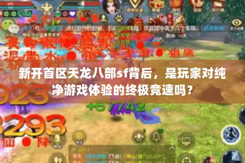 新开首区天龙八部sf背后,是玩家对纯净游戏体验的终极竞速吗? 新开首区天龙八部sf背后,是玩家对纯净游戏体验的终极竞速吗?