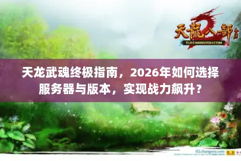 天龙武魂终极指南，2026年如何选择服务器与版本，实现战力飙升？