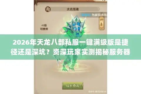 2026年天龙八部私服一键满级版是捷径还是深坑？资深玩家实测揭秘服务器筛选门道