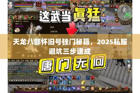 天龙八部怀旧号独门秘籍,2025私服避坑三步速成 天龙八部怀旧号独门秘籍,2025私服避坑三步速成