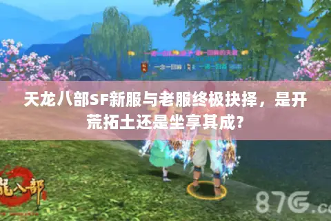 天龙八部SF新服与老服终极抉择，是开荒拓土还是坐享其成？