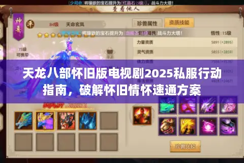 天龙八部怀旧版电视剧2025私服行动指南，破解怀旧情怀速通方案