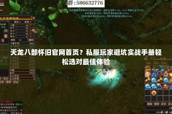 天龙八部怀旧官网首页?私服玩家避坑实战手册轻松选对最佳体验 天龙八部怀旧官网首页?私服玩家避坑实战手册轻松选对最佳体验