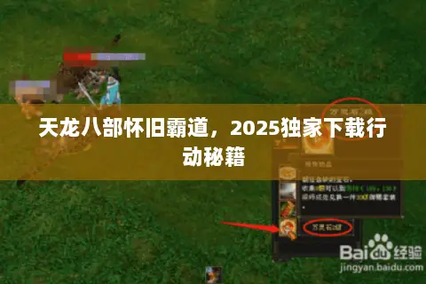 天龙八部怀旧霸道，2025独家下载行动秘籍
