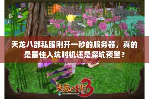 天龙八部私服刚开一秒的服务器，真的是最佳入坑时机还是深坑预警？