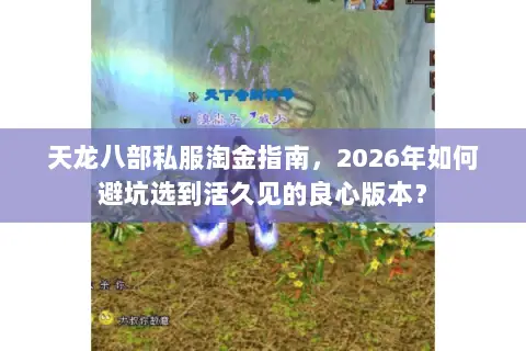 天龙八部私服淘金指南,2026年如何避坑选到活久见的良心版本? 天龙八部私服淘金指南,2026年如何避坑选到活久见的良心版本?