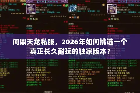 问鼎天龙私服，2026年如何挑选一个真正长久耐玩的独家版本？