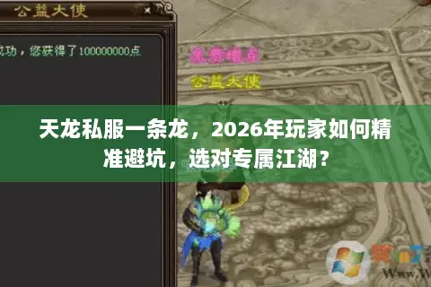 天龙私服一条龙，2026年玩家如何精准避坑，选对专属江湖？