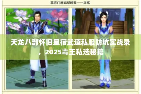 天龙八部怀旧星宿武道私服防坑实战录，2025毒王私选秘籍