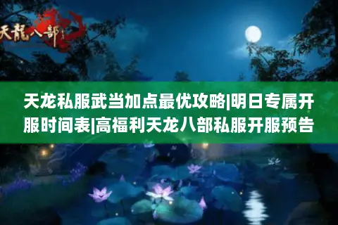 天龙私服武当加点最优攻略|明日专属开服时间表|高福利天龙八部私服开服预告 天龙私服武当加点最优攻略|明日专属开服时间表|高福利天龙八部私服开服预告