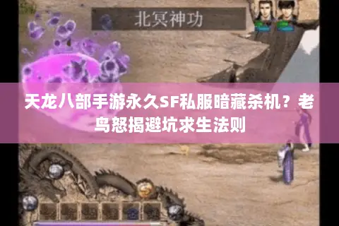 天龙八部手游永久SF私服暗藏杀机?老鸟怒揭避坑求生法则 天龙八部手游永久SF私服暗藏杀机?老鸟怒揭避坑求生法则