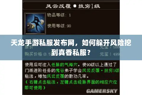 天龙手游私服发布网,如何躲开风险挖到真香私服? 天龙手游私服发布网,如何躲开风险挖到真香私服?
