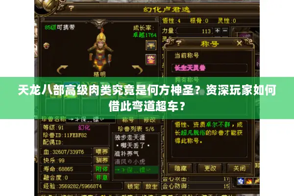 天龙八部高级肉类究竟是何方神圣？资深玩家如何借此弯道超车？
