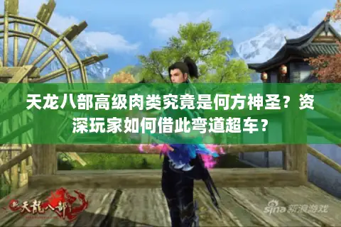 天龙八部高级肉类究竟是何方神圣？资深玩家如何借此弯道超车？