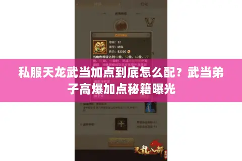 私服天龙武当加点到底怎么配?武当弟子高爆加点秘籍曝光 私服天龙武当加点到底怎么配?武当弟子高爆加点秘籍曝光