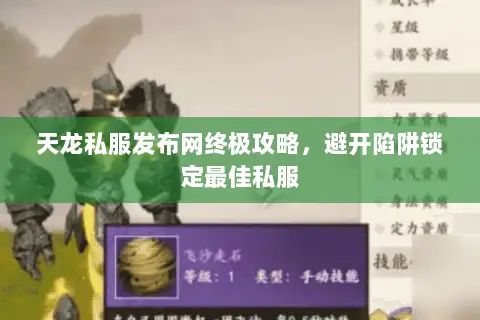 天龙私服发布网终极攻略,避开陷阱锁定最佳私服 天龙私服发布网终极攻略,避开陷阱锁定最佳私服