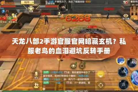 天龙八部2手游官服官网暗藏玄机？私服老鸟的血泪避坑反转手册