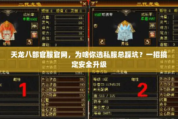 天龙八部官服官网,为啥你选私服总踩坑?一招搞定安全升级 天龙八部官服官网,为啥你选私服总踩坑?一招搞定安全升级