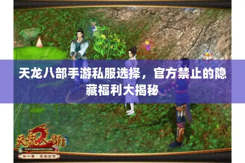 天龙八部手游私服选择,官方禁止的隐藏福利大揭秘 天龙八部手游私服选择,官方禁止的隐藏福利大揭秘