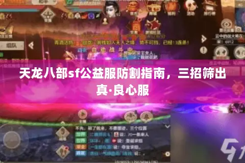 天龙八部sf公益服防割指南，三招筛出真·良心服