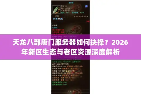 天龙八部唐门服务器如何抉择？2026年新区生态与老区资源深度解析