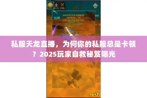 私服天龙直播，为何你的私服总是卡顿？2025玩家自救秘笈曝光