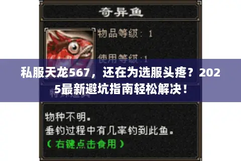 私服天龙567,还在为选服头疼?2025最新避坑指南轻松解决! 私服天龙567,还在为选服头疼?2025最新避坑指南轻松解决!