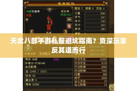 天龙八部手游私服避坑指南?资深玩家反其道而行 天龙八部手游私服避坑指南?资深玩家反其道而行